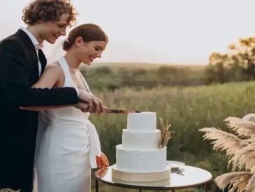 elegant:pitch= wedding cake