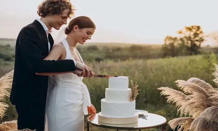 elegant:pitch= wedding cake