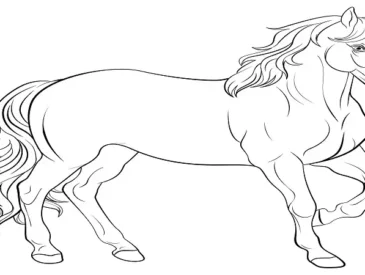 outline:cnv3uizs7vu= horse drawing