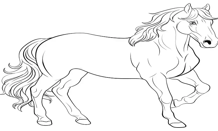 outline:cnv3uizs7vu= horse drawing