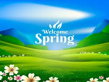 spring hillmedgroup com